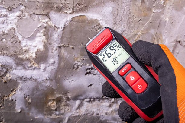 Best Water Damage Restoration  in Houghton, MI