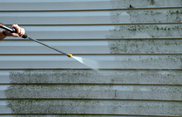 Best Water Damage Restoration  in Houghton, MI
