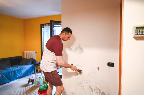 Best Mold Testing and Removal  in Houghton, MI